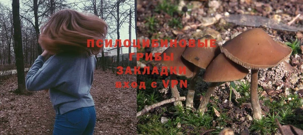 экстази Алексеевка