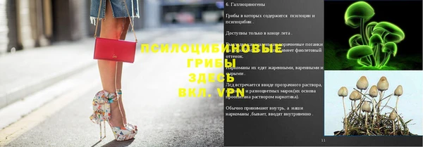 СК Лихославль