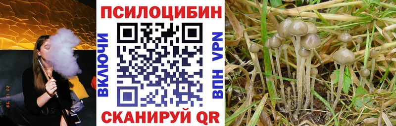 наркота  Чегем  Галлюциногенные грибы мухоморы 
